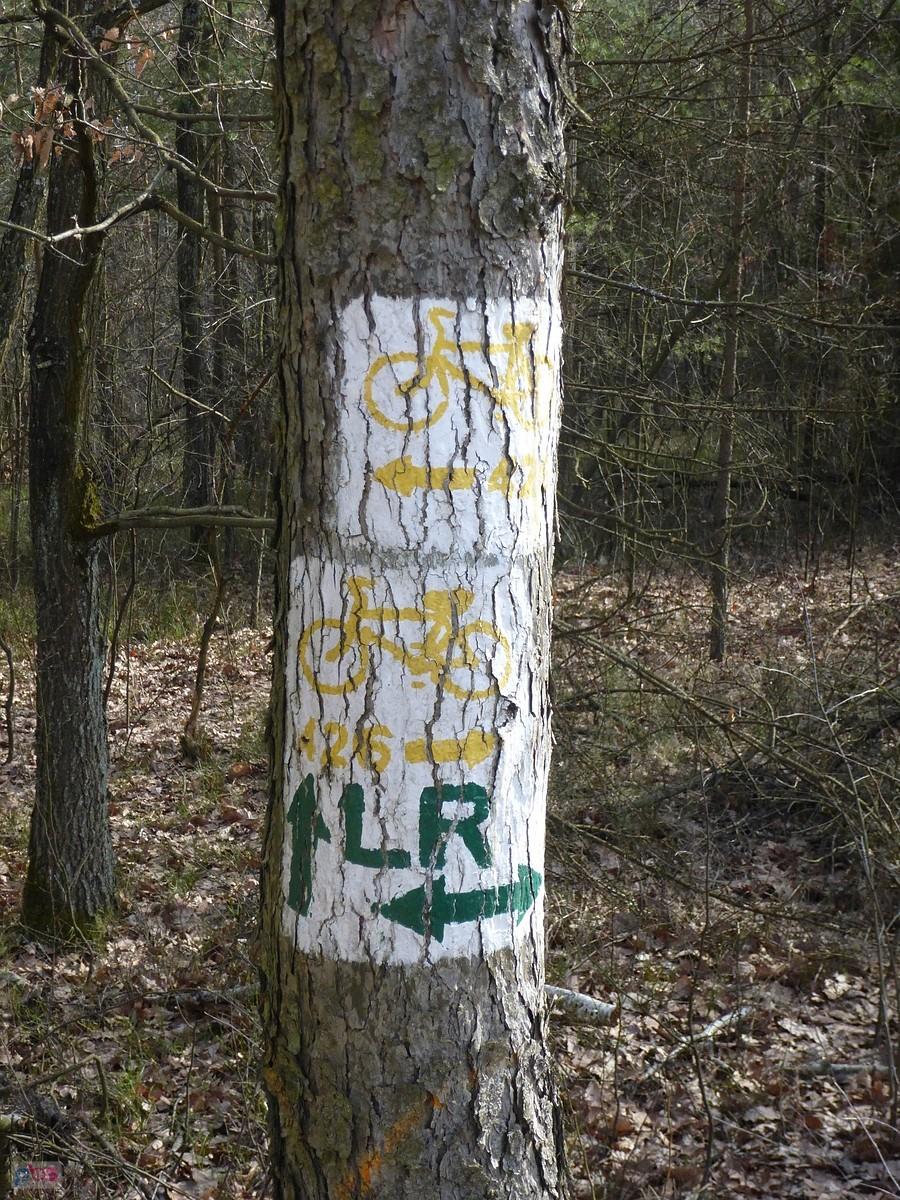 I weź tu się połap