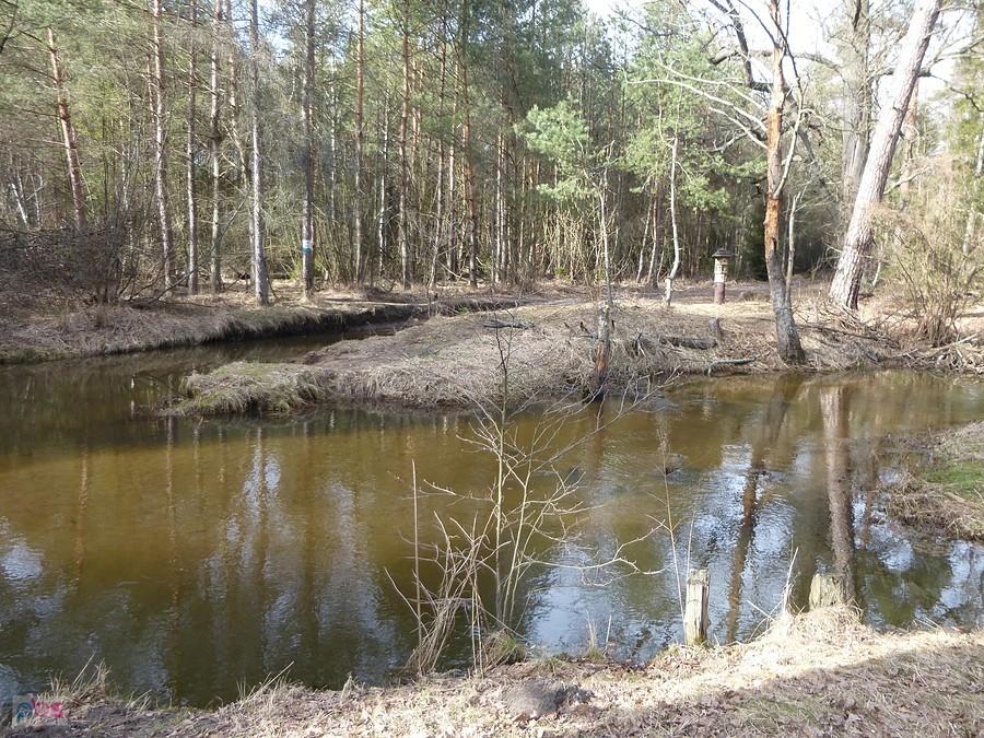 Tu był chyba mostek