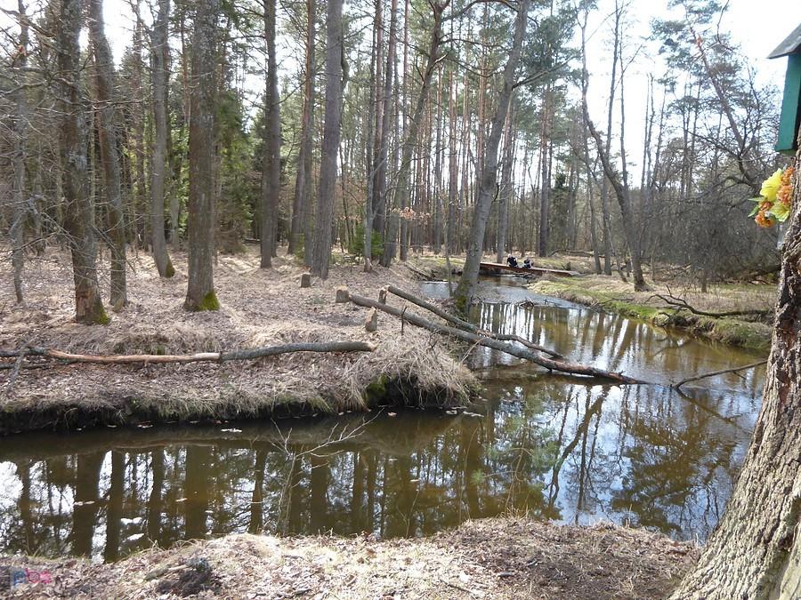 Nowy mostek kawałek dalej