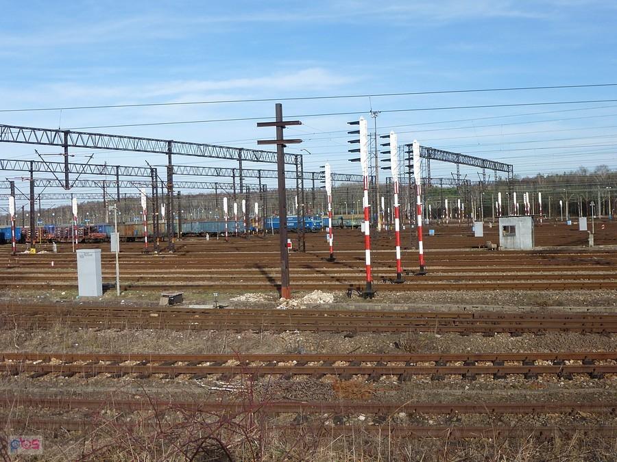 Sporo tych torów
