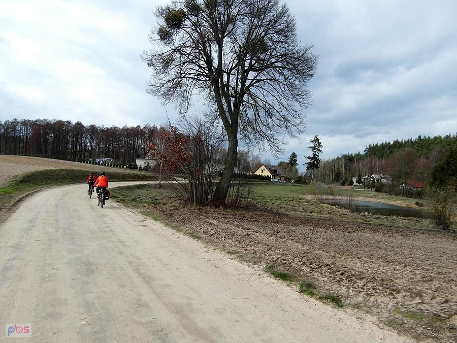 Grabowiec- Kociewie