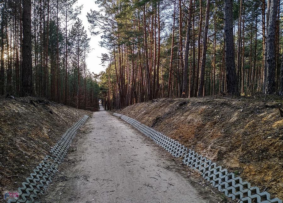 Droga rowerowa z Inowłodza do Spały