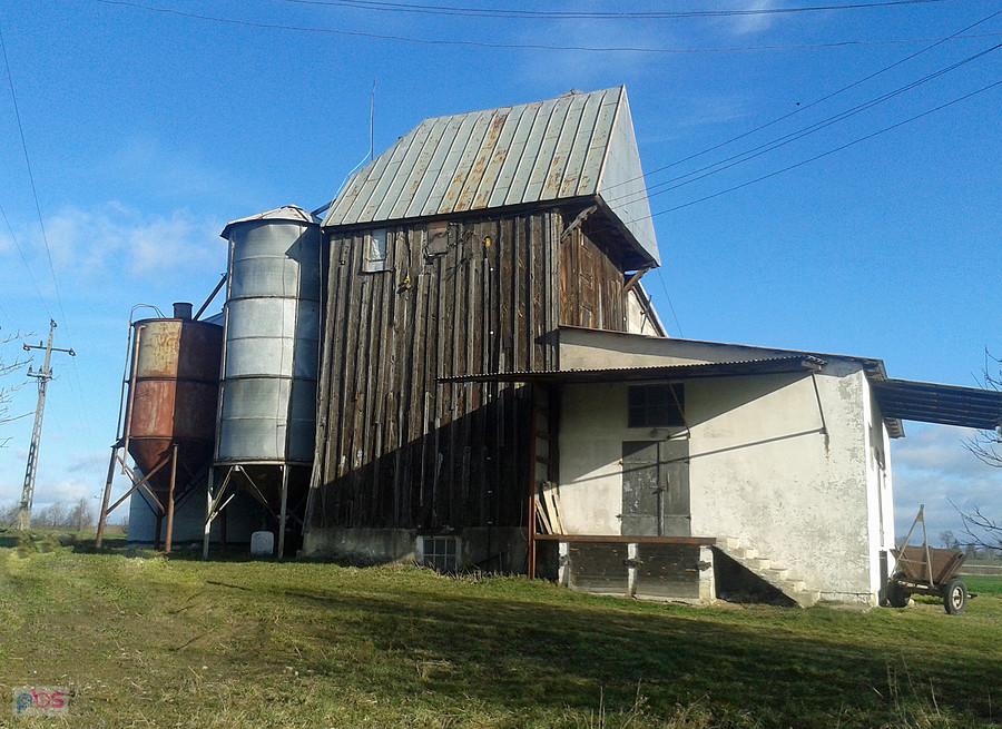 Drugie życie koźlaka. Skęczniew