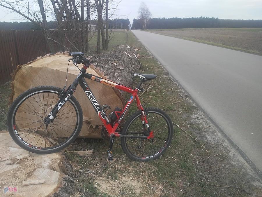 Niedawno jeszcze rosło