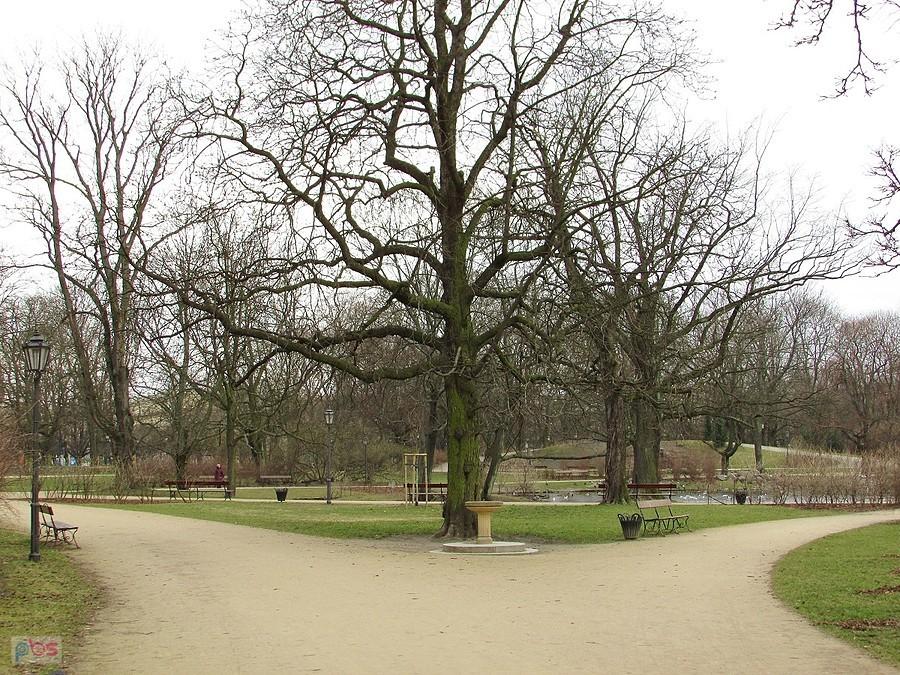 Ogród Krasińskich