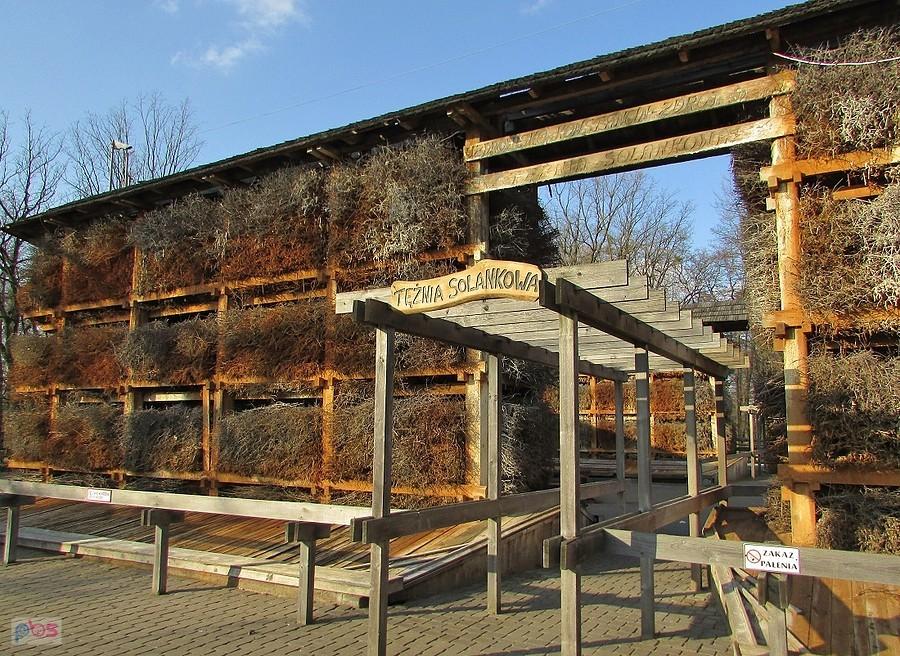 Wejście do tężni