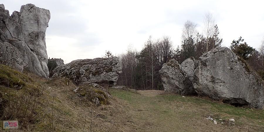 Skałki na wzgórzu Cegielnia