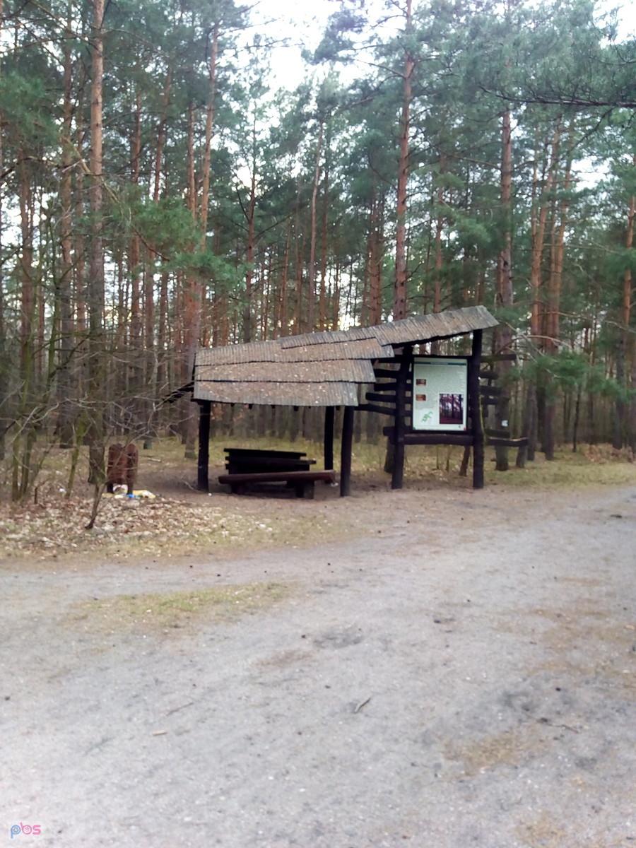 Tu można odpocząć jadąc lub idąc przez las