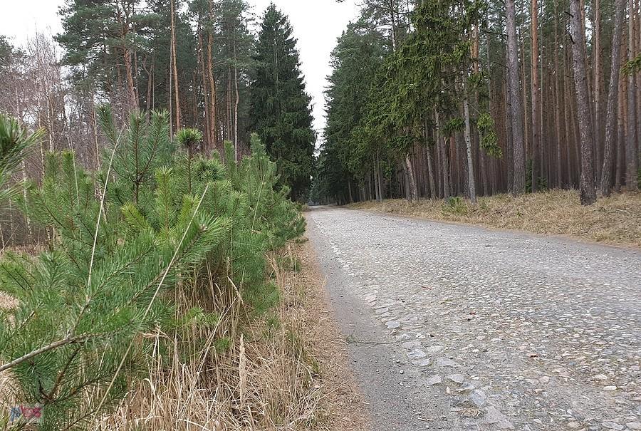 Dojazd pożarowy 40