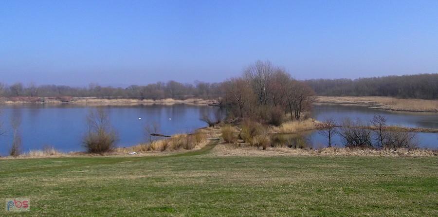 Polder Buków w okolicy Rożkowa