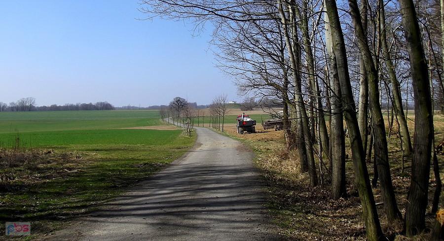 Wyjeżdżam z lasu