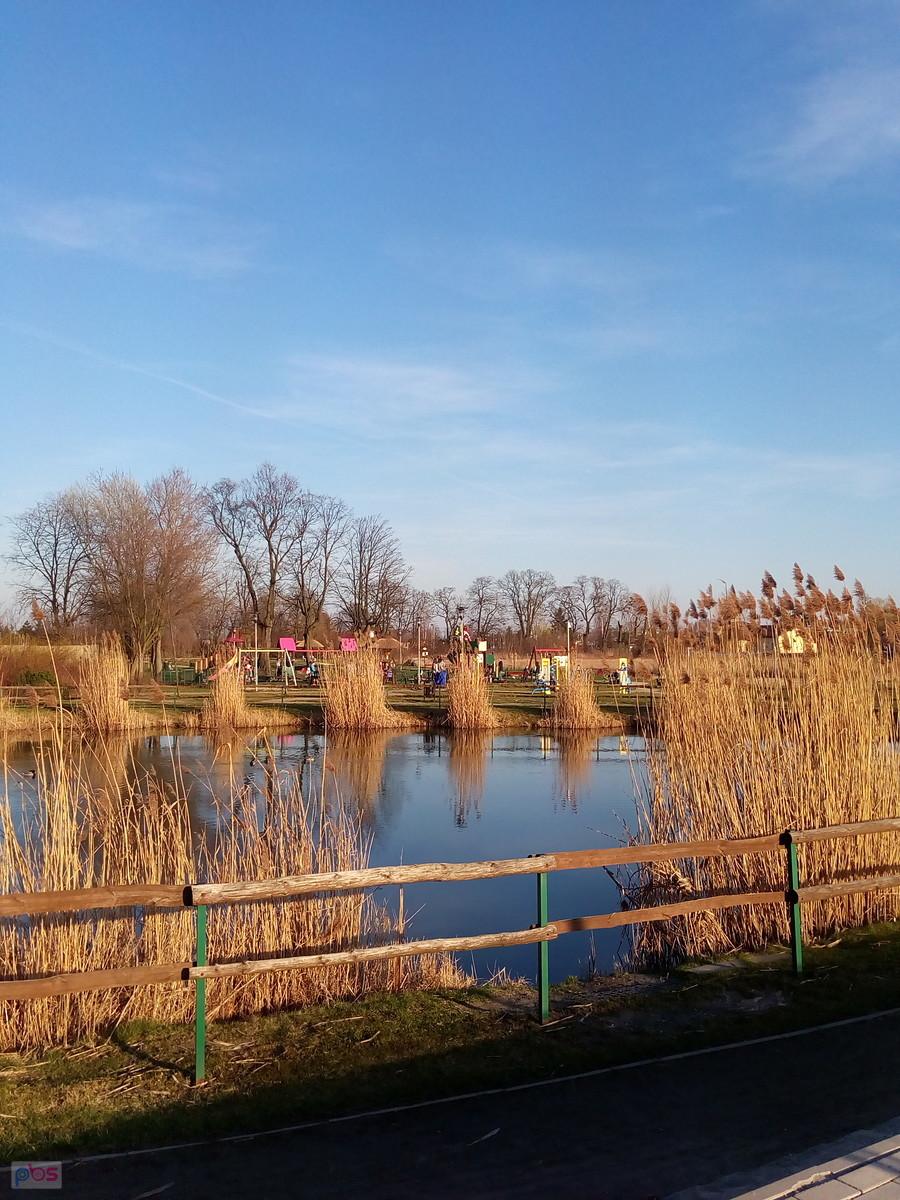 Staw w Borzęcinie