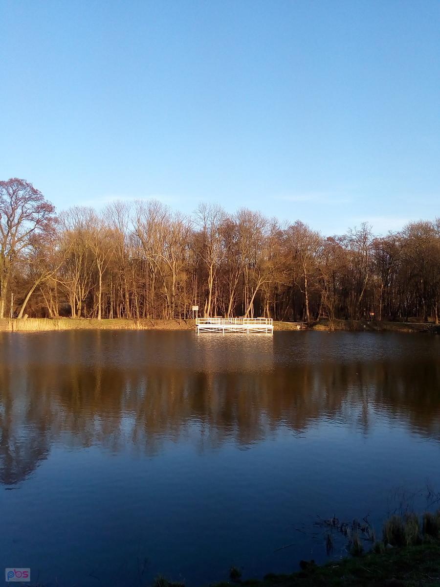 Staw w Ołtarzewie