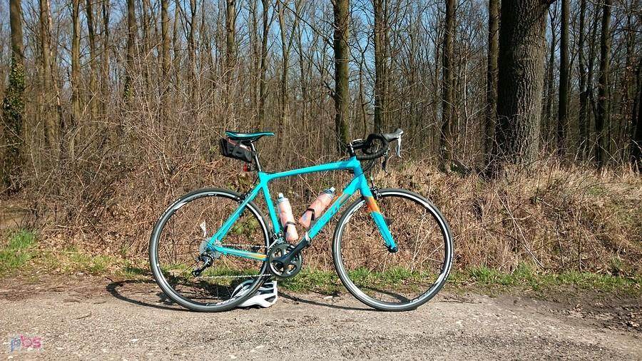 Giant Contend SL 2