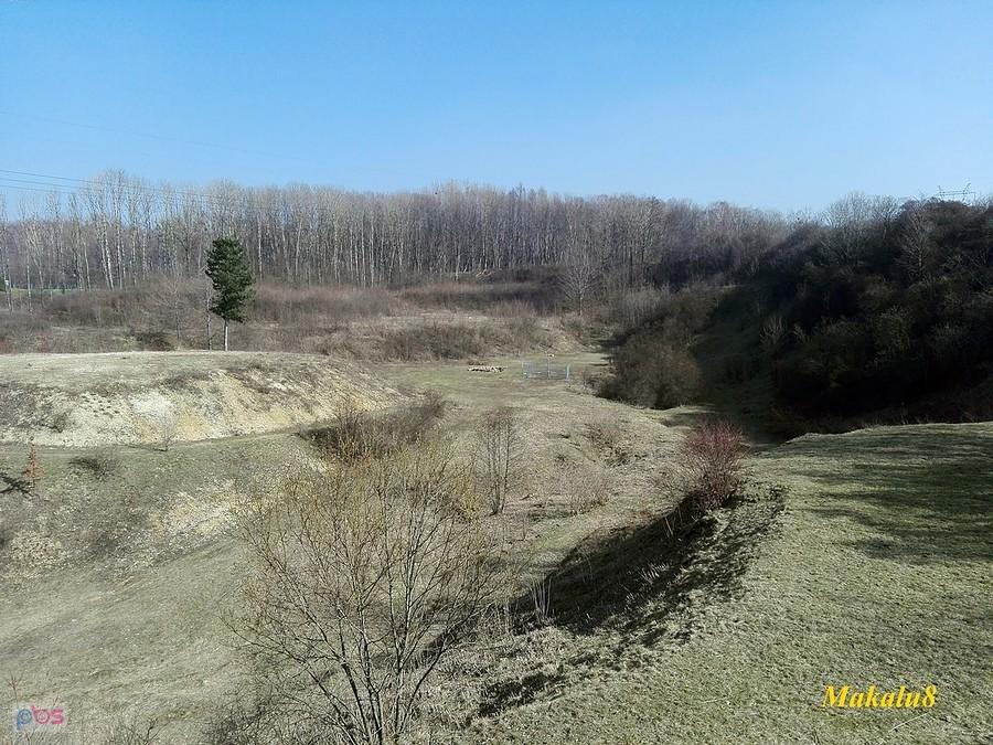 Śląski Ogród Botaniczny w Radzionkowie