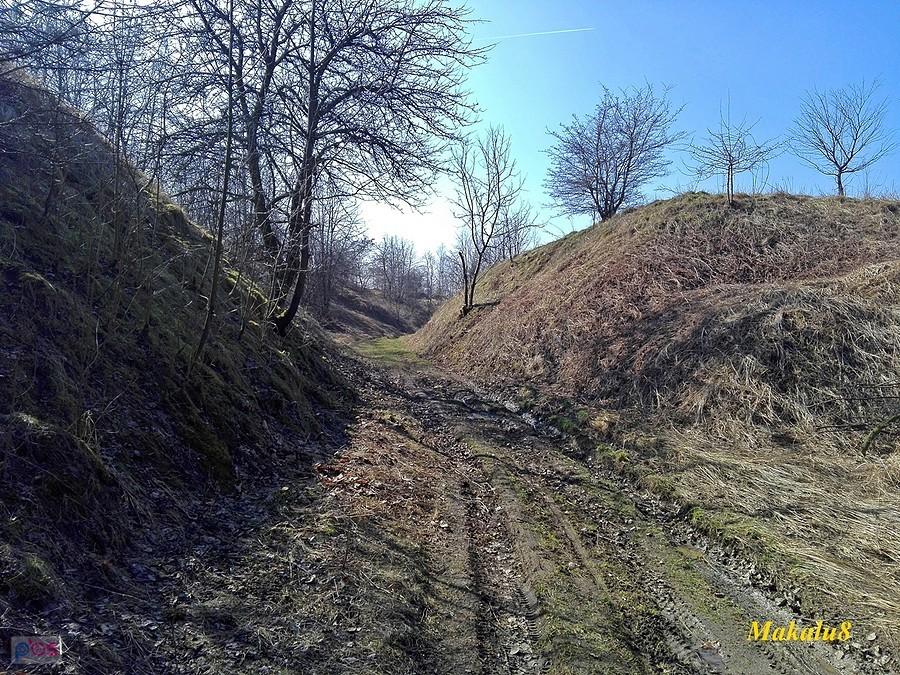 Nakło Śląskie