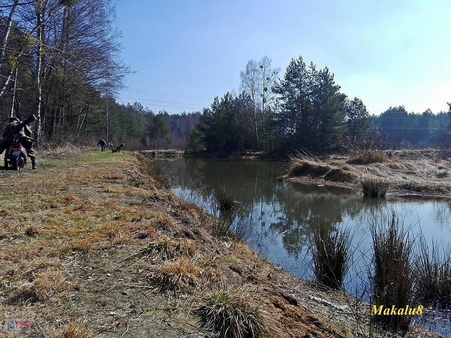 Miasteczko Śl. nad stawem