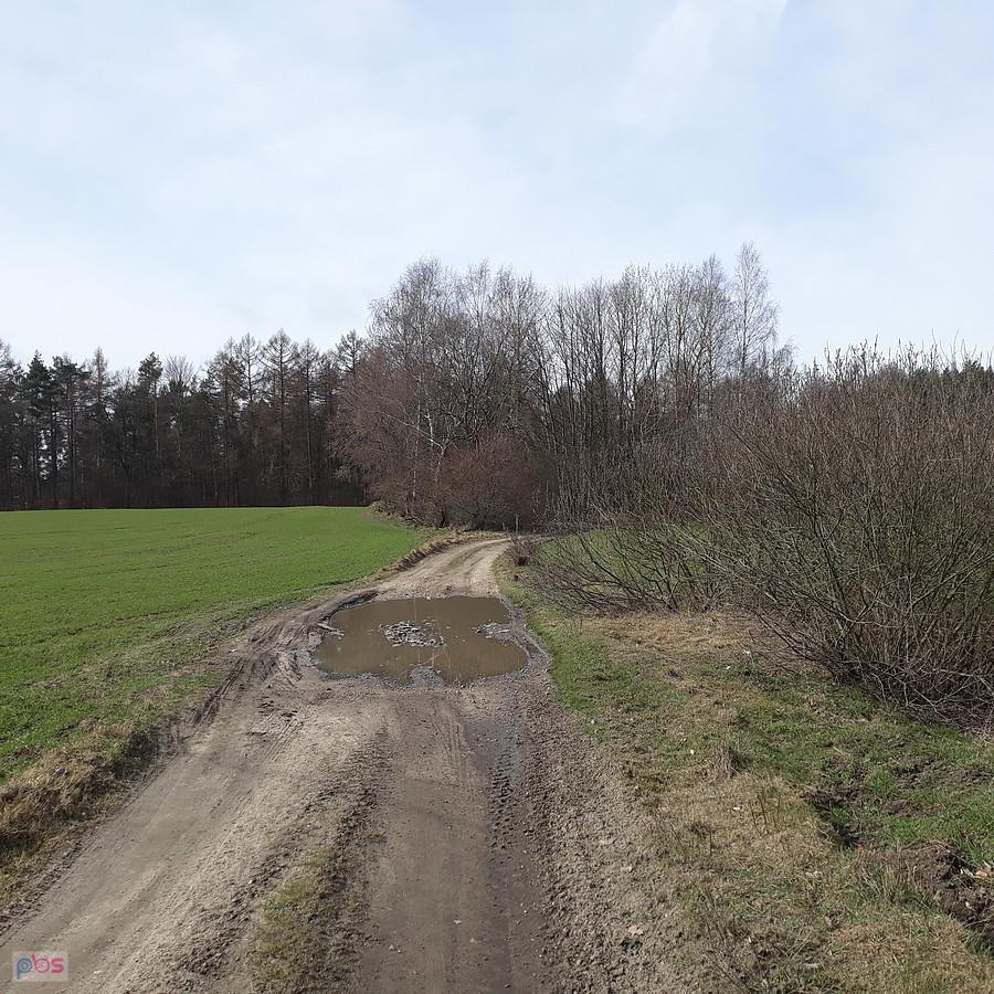 Kaszubskie ścieżki