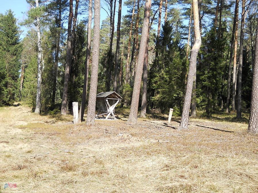 paśnik