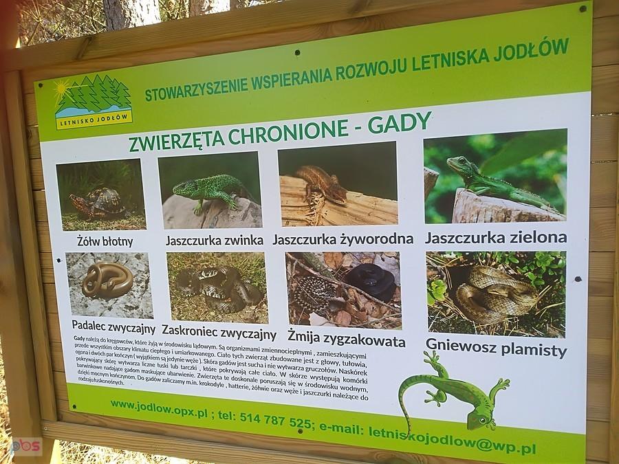 Jedna z tablic edukacyjnych na terenie Puszczy Tarnowskiej