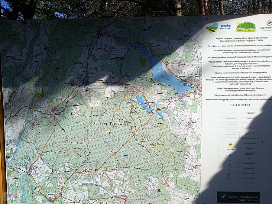 Mapa Puszczy Tarnowskiej w rejonie Jodłowa nad Jeziorem Tarnowskim