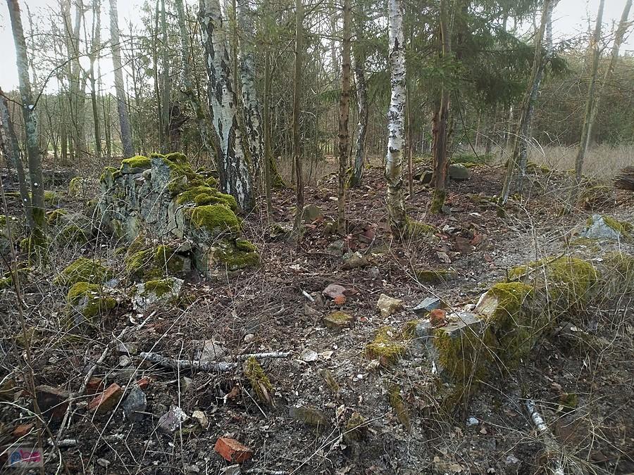 Pozostałości Pawilonów Myśliwskich, potocznie zwanych Zamkiem Geibela, na terenie Puszczy Tarnowskiej
