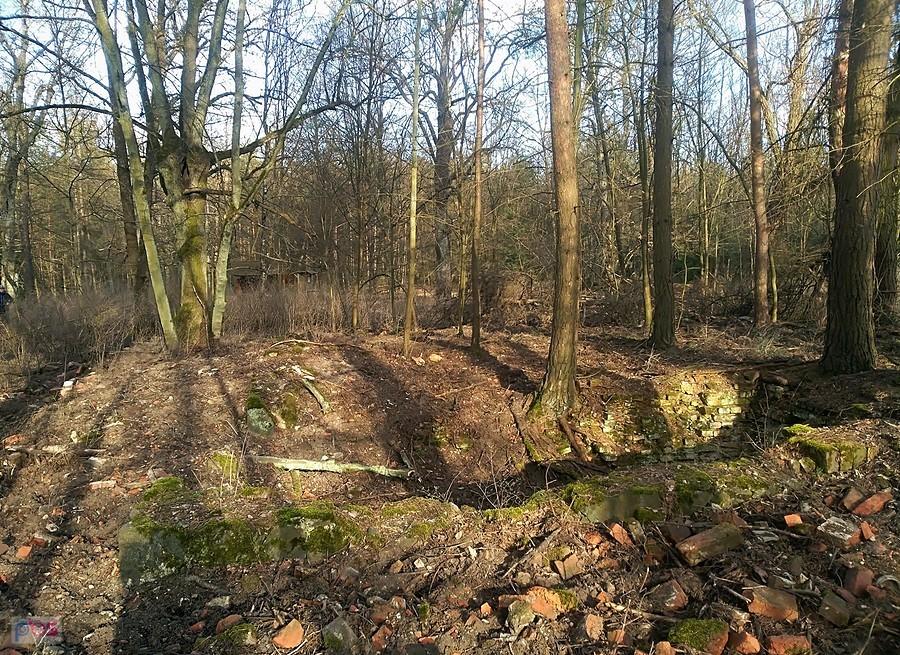 Dawne Pawilony Myśliwskie Księcia Henryka, właściciela Siedliska, zwane potocznie Zamkiem Geibela