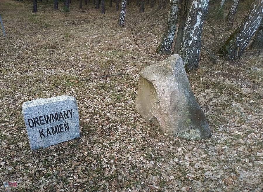 Drewniany Kamień - jeden z charakterystycznych punktów na mapie Puszczy Tarnowskiej