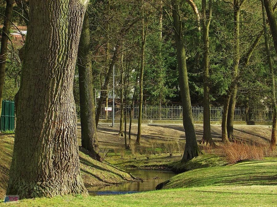 Rzeczka Mała przepływa przez Park Zdrojowy