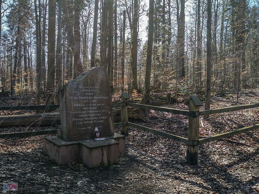 Rezerwat przyrody "Świnia Góra"