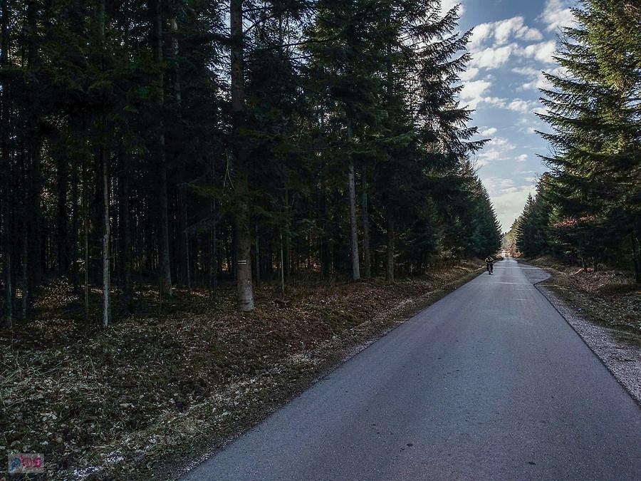 Na szlaku za Suchedniowem