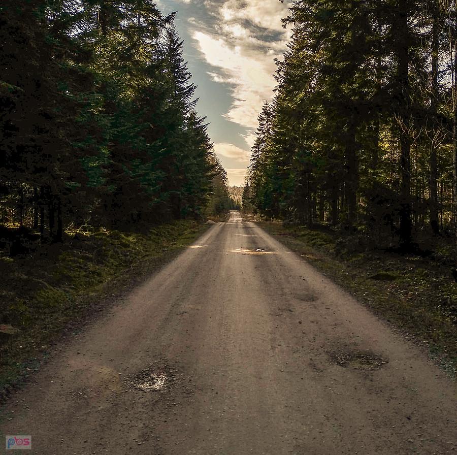 Tam jedziemy