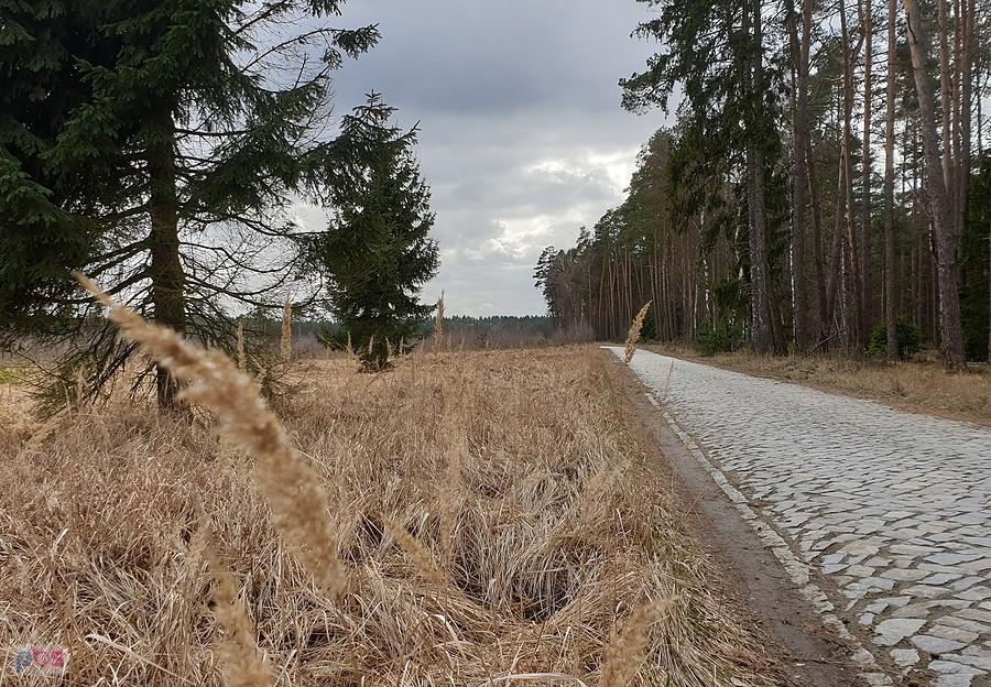 Dojazd pożarowy 40 ,część brukowa.