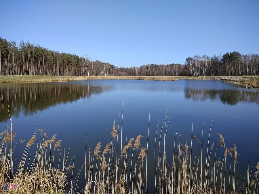 Stawy Szkarotkowe