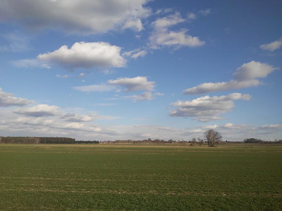 Piękna wiosna