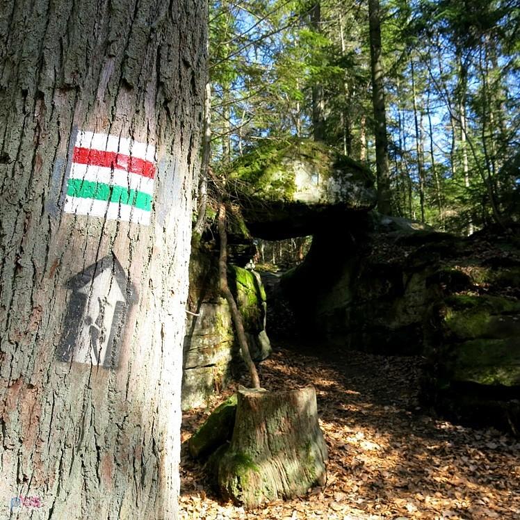 Na szlakach w Parku Krajobrazowym