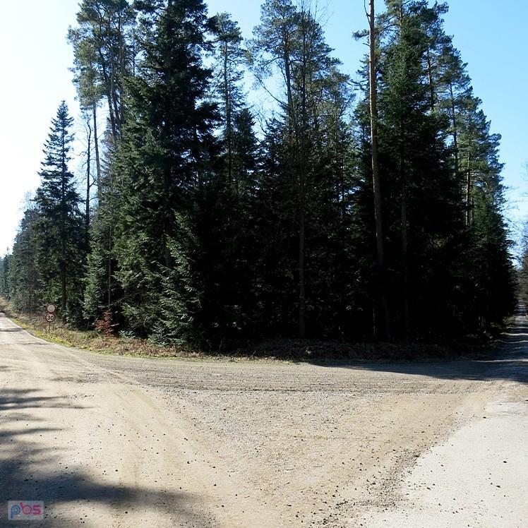 Na rozstaju dróg - którędy do domu?