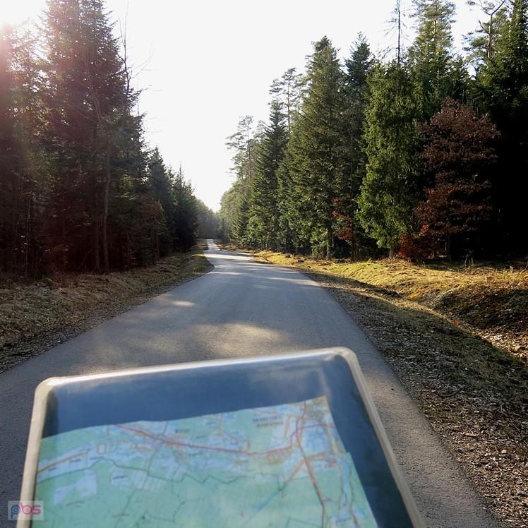 Gęsty las osłania nas przed wiatrem