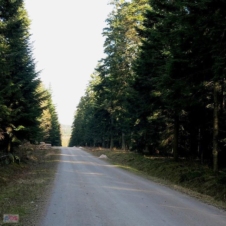 Wjechaliśmy właśnie na Czerwoną Górę