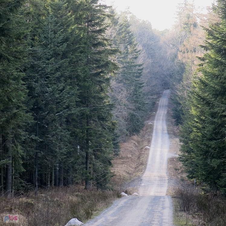 Ta droga pod górę pięknie wygląda, będziemy się turlać?