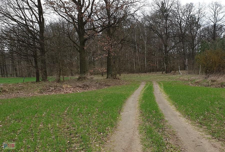 Polna droga za Warchlinkiem