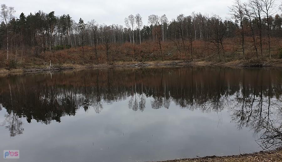 Leśne jeziorko w okolicy DP 27