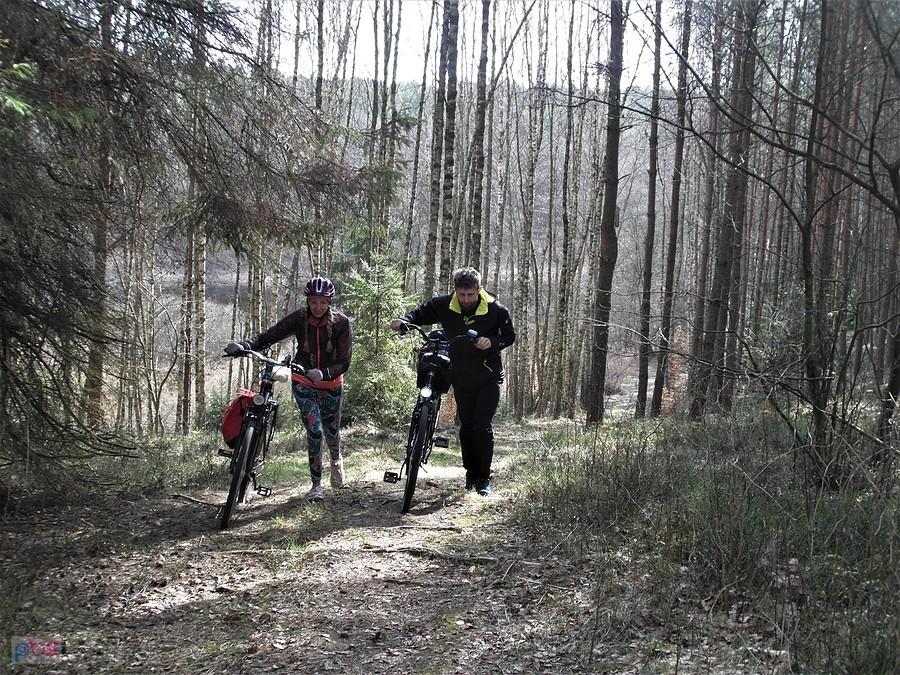 Romantyczne leśne ścieżki