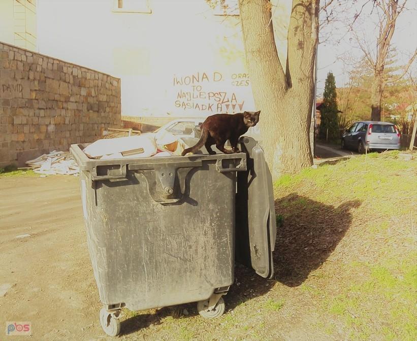 Tym razem napisy autentyczne ;)