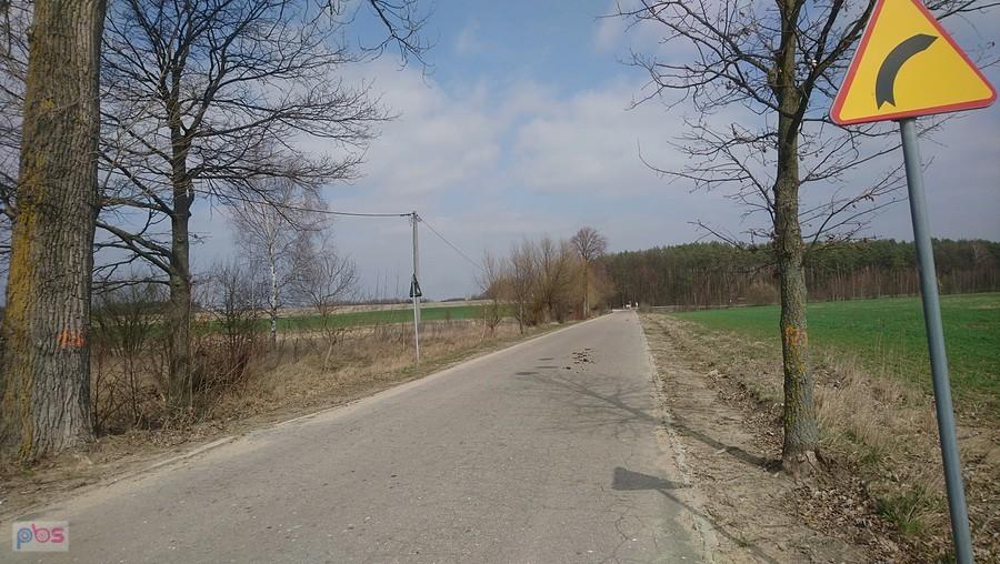 Sześć kilometrów wycinki