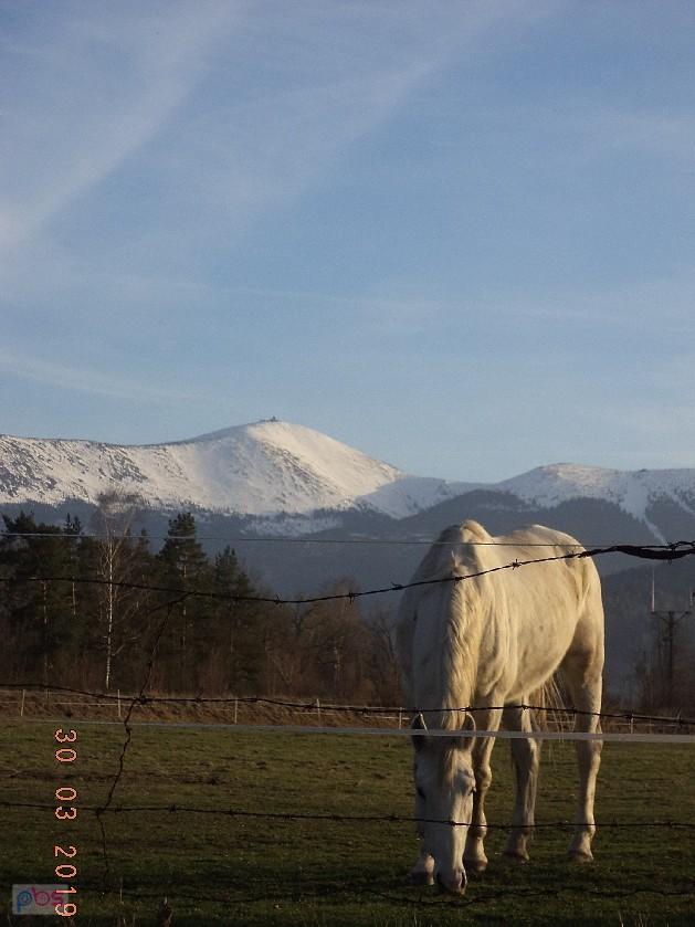 Właściwy konik we właściwym miejscu ;)