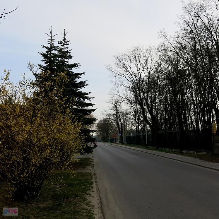 Czysto tu - niedawno tu zbierałam śmieci :)