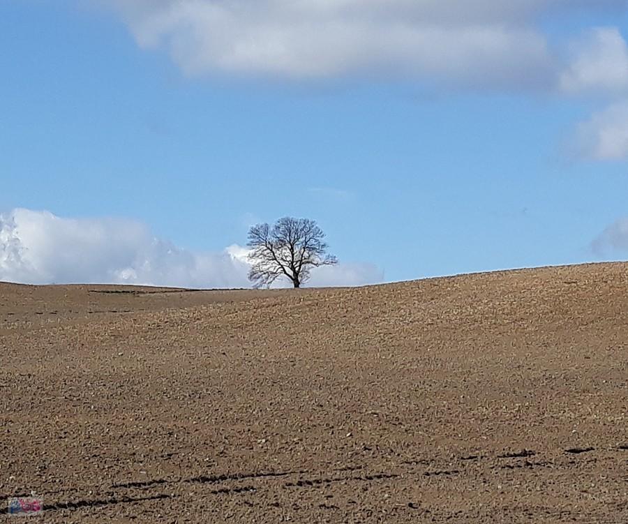 Mnie się podoba ;-)