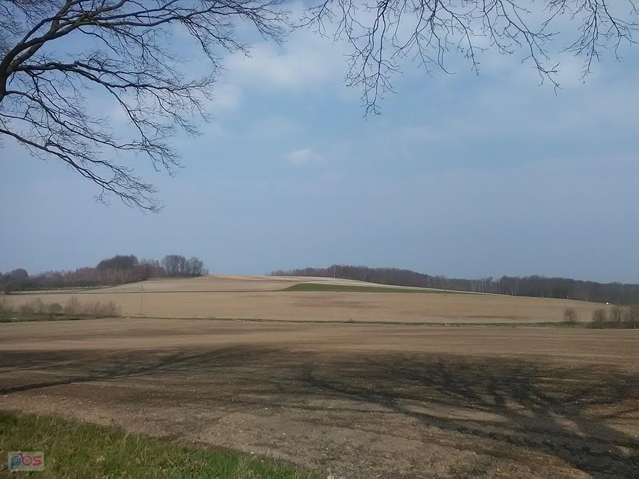 Wśrd pól i lasów