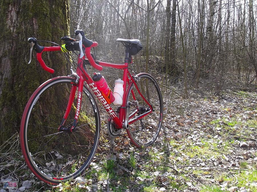 Haibike